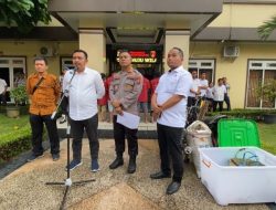 Polda Sumut Tangkap Pencuri Sawit, PTPN Rugi Rp100 Miliar