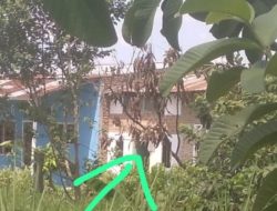 Lapor Pak Kapolda !, Marak Narkoba di Jermal 7, Warga Resah