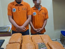 Sat Narkoba Polres Pelabuhan Belawan Gagalkan Peredaran 13 Kg Ganja, 2 Bandar Ditangkap