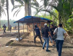 Satresnarkoba Polres Binjai Kembali Grebek Dan Hancurkan Barak Narkoba Di Desa Perdamaian